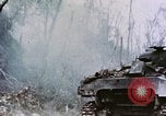 Standbild 1st Marine Division Peleliu Palau Inseln, 1944, aus Sekunde 36 historischem Filmmaterial Videoclip 65675022899