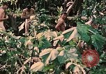 Standbild 1st Marine Division Peleliu Palau Inseln, 1944, aus Sekunde 38 historischem Filmmaterial Videoclip 65675022900