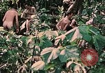 Standbild 1st Marine Division Peleliu Palau Inseln, 1944, aus Sekunde 39 historischem Filmmaterial Videoclip 65675022900