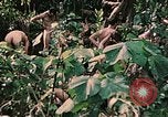 Standbild 1st Marine Division Peleliu Palau Inseln, 1944, aus Sekunde 42 historischem Filmmaterial Videoclip 65675022900