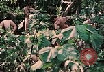 Standbild 1st Marine Division Peleliu Palau Inseln, 1944, aus Sekunde 44 historischem Filmmaterial Videoclip 65675022900