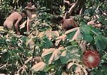 Standbild 1st Marine Division Peleliu Palau Inseln, 1944, aus Sekunde 47 historischem Filmmaterial Videoclip 65675022900