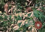Standbild 1st Marine Division Peleliu Palau Inseln, 1944, aus Sekunde 48 historischem Filmmaterial Videoclip 65675022900