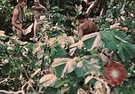 Standbild 1st Marine Division Peleliu Palau Inseln, 1944, aus Sekunde 49 historischem Filmmaterial Videoclip 65675022900