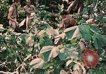 Standbild 1st Marine Division Peleliu Palau Inseln, 1944, aus Sekunde 50 historischem Filmmaterial Videoclip 65675022900