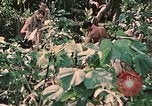 Standbild 1st Marine Division Peleliu Palau Inseln, 1944, aus Sekunde 52 historischem Filmmaterial Videoclip 65675022900