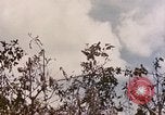 Standbild First Marine Division Peleliu Palau Inseln, 1944, aus Sekunde 16 historischem Filmmaterial Videoclip 65675022903