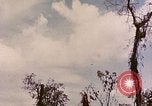 Standbild TBF Avenger Flugzeuge Peleliu Palau Inseln, 1944, aus Sekunde 7 historischem Filmmaterial Videoclip 65675022906