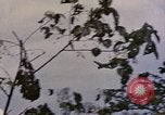 Standbild TBF Avenger Flugzeuge Peleliu Palau Inseln, 1944, aus Sekunde 24 historischem Filmmaterial Videoclip 65675022906