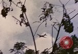 Standbild TBF Avenger Flugzeuge Peleliu Palau Inseln, 1944, aus Sekunde 25 historischem Filmmaterial Videoclip 65675022906