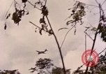 Standbild TBF Avenger Flugzeuge Peleliu Palau Inseln, 1944, aus Sekunde 33 historischem Filmmaterial Videoclip 65675022906