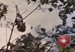Standbild TBF Avenger Flugzeuge Peleliu Palau Inseln, 1944, aus Sekunde 38 historischem Filmmaterial Videoclip 65675022906