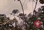 Standbild TBF Avenger Flugzeuge Peleliu Palau Inseln, 1944, aus Sekunde 39 historischem Filmmaterial Videoclip 65675022906