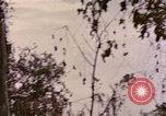 Standbild TBF Avenger Flugzeuge Peleliu Palau Inseln, 1944, aus Sekunde 42 historischem Filmmaterial Videoclip 65675022906