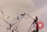 Standbild TBF Avenger Flugzeuge Peleliu Palau Inseln, 1944, aus Sekunde 45 historischem Filmmaterial Videoclip 65675022906