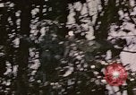 Standbild TBF Avenger Flugzeuge Peleliu Palau Inseln, 1944, aus Sekunde 54 historischem Filmmaterial Videoclip 65675022906