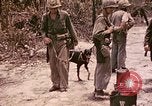 Image of First Division Marines Peleliu Palau Islands, 1944, second 1 stock footage video 65675022907