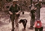 Image of First Division Marines Peleliu Palau Islands, 1944, second 3 stock footage video 65675022907
