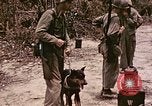 Image of First Division Marines Peleliu Palau Islands, 1944, second 4 stock footage video 65675022907