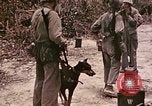 Image of First Division Marines Peleliu Palau Islands, 1944, second 5 stock footage video 65675022907