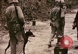 Image of First Division Marines Peleliu Palau Islands, 1944, second 6 stock footage video 65675022907