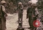 Image of First Division Marines Peleliu Palau Islands, 1944, second 9 stock footage video 65675022907