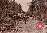 Image of First Division Marines Peleliu Palau Islands, 1944, second 12 stock footage video 65675022907