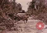 Image of First Division Marines Peleliu Palau Islands, 1944, second 13 stock footage video 65675022907