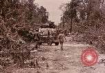 Image of First Division Marines Peleliu Palau Islands, 1944, second 14 stock footage video 65675022907