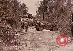 Image of First Division Marines Peleliu Palau Islands, 1944, second 21 stock footage video 65675022907