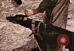 Image of First Division Marines Peleliu Palau Islands, 1944, second 25 stock footage video 65675022907