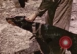 Image of First Division Marines Peleliu Palau Islands, 1944, second 26 stock footage video 65675022907