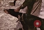 Image of First Division Marines Peleliu Palau Islands, 1944, second 27 stock footage video 65675022907