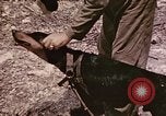 Image of First Division Marines Peleliu Palau Islands, 1944, second 28 stock footage video 65675022907