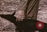 Image of First Division Marines Peleliu Palau Islands, 1944, second 30 stock footage video 65675022907