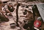 Image of 1st Tank Battalion Peleliu Palau Islands, 1944, second 19 stock footage video 65675022908