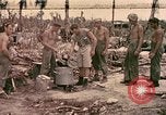 Image of 1st Tank Battalion Peleliu Palau Islands, 1944, second 28 stock footage video 65675022908