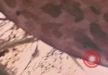 Standbild 1 Tank Bataillon Peleliu Palau Inseln, 1944, aus Sekunde 18 historischem Filmmaterial Videoclip 65675022909