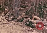 Standbild 1 Tank Bataillon Peleliu Palau Inseln, 1944, aus Sekunde 28 historischem Filmmaterial Videoclip 65675022909
