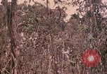 Standbild 1 Tank Bataillon Peleliu Palau Inseln, 1944, aus Sekunde 43 historischem Filmmaterial Videoclip 65675022909