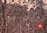 Standbild 1 Tank Bataillon Peleliu Palau Inseln, 1944, aus Sekunde 44 historischem Filmmaterial Videoclip 65675022909
