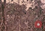 Standbild 1 Tank Bataillon Peleliu Palau Inseln, 1944, aus Sekunde 45 historischem Filmmaterial Videoclip 65675022909