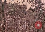Standbild 1 Tank Bataillon Peleliu Palau Inseln, 1944, aus Sekunde 46 historischem Filmmaterial Videoclip 65675022909