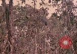 Standbild 1 Tank Bataillon Peleliu Palau Inseln, 1944, aus Sekunde 47 historischem Filmmaterial Videoclip 65675022909