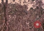 Standbild 1 Tank Bataillon Peleliu Palau Inseln, 1944, aus Sekunde 48 historischem Filmmaterial Videoclip 65675022909