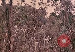 Standbild 1 Tank Bataillon Peleliu Palau Inseln, 1944, aus Sekunde 49 historischem Filmmaterial Videoclip 65675022909