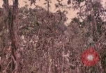 Standbild 1 Tank Bataillon Peleliu Palau Inseln, 1944, aus Sekunde 50 historischem Filmmaterial Videoclip 65675022909
