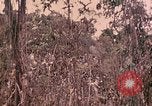 Standbild 1 Tank Bataillon Peleliu Palau Inseln, 1944, aus Sekunde 51 historischem Filmmaterial Videoclip 65675022909