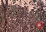 Standbild 1 Tank Bataillon Peleliu Palau Inseln, 1944, aus Sekunde 52 historischem Filmmaterial Videoclip 65675022909