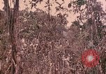 Standbild 1 Tank Bataillon Peleliu Palau Inseln, 1944, aus Sekunde 53 historischem Filmmaterial Videoclip 65675022909